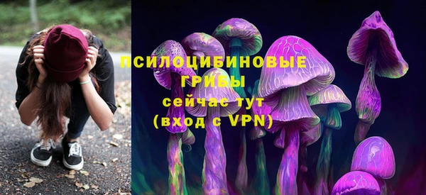 мдпв Нефтекумск